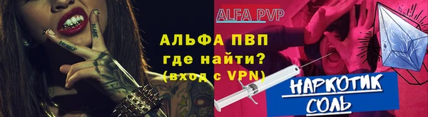 ECSTASY Алзамай