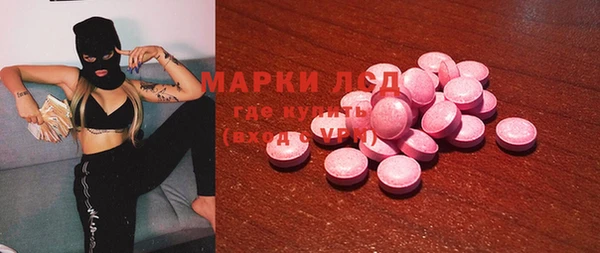 ECSTASY Алзамай