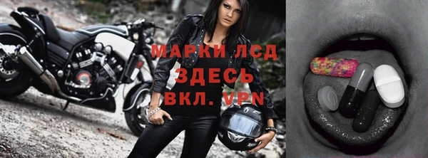 ECSTASY Алзамай